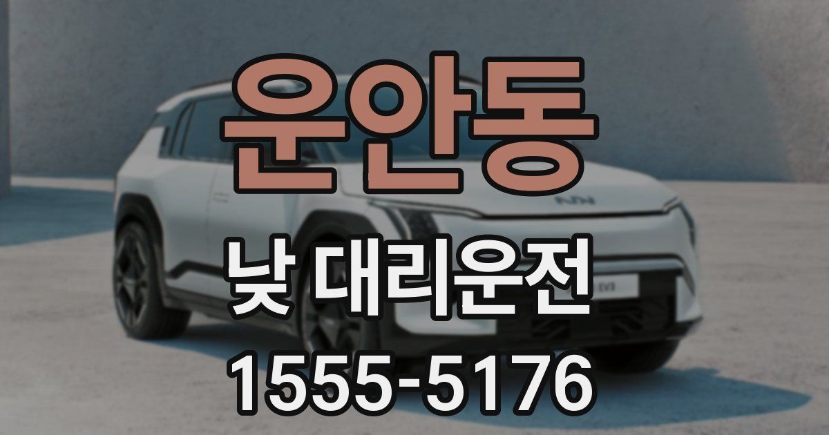 운안동 낮 대리운전