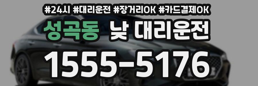 성곡동 낮 대리운전