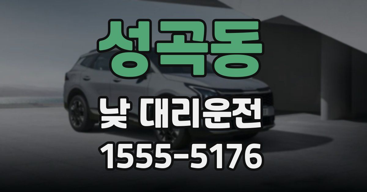 성곡동 낮 대리운전