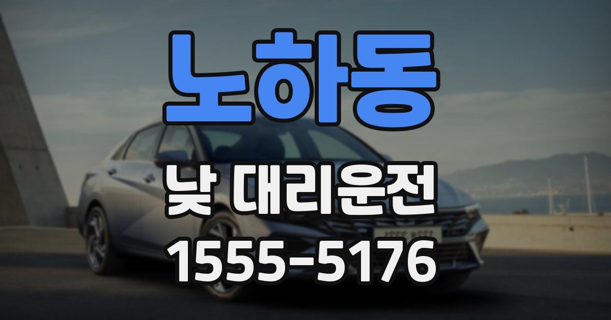 노하동 낮 대리운전