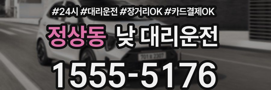 정상동 낮 대리운전