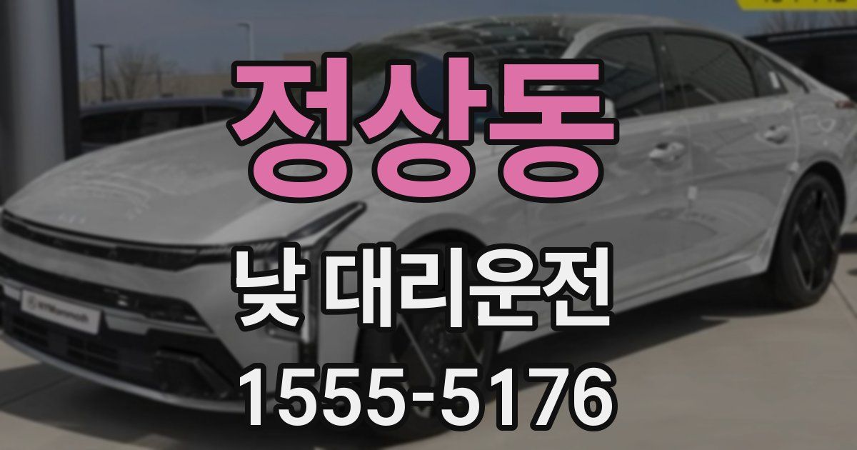 정상동 낮 대리운전