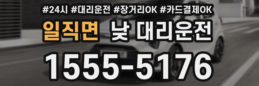 일직면 낮 대리운전