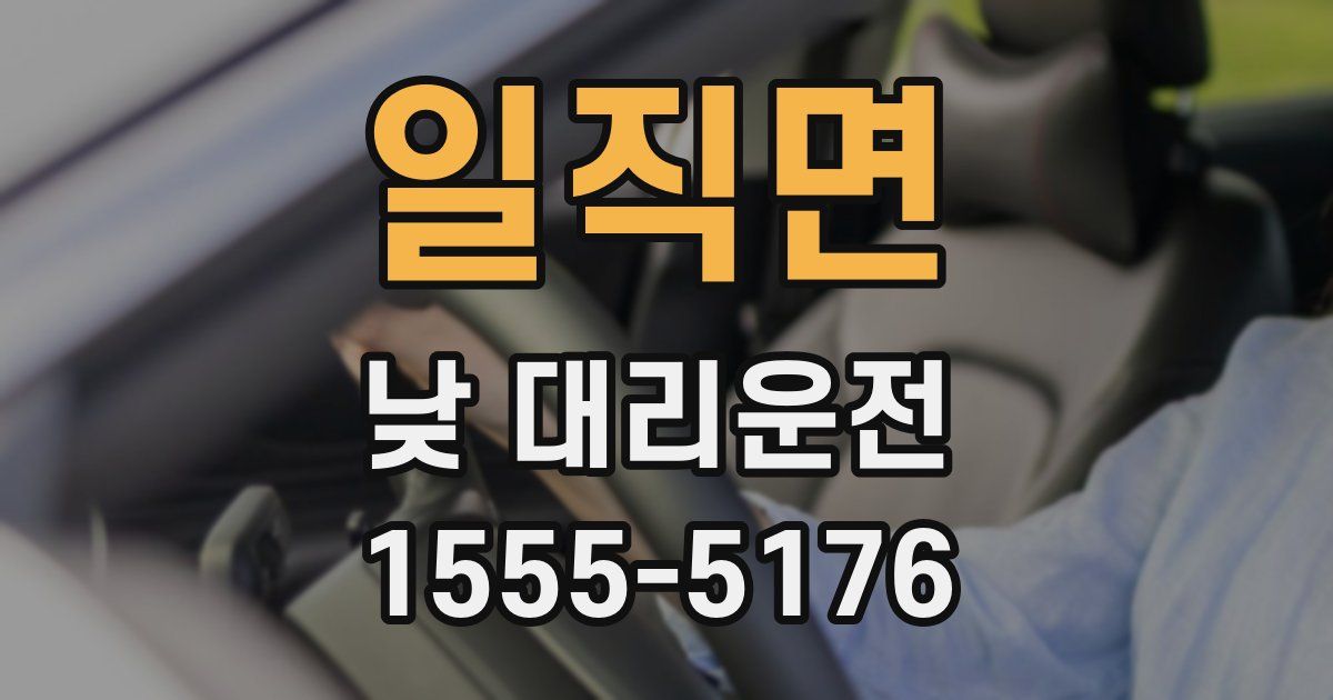 일직면 낮 대리운전