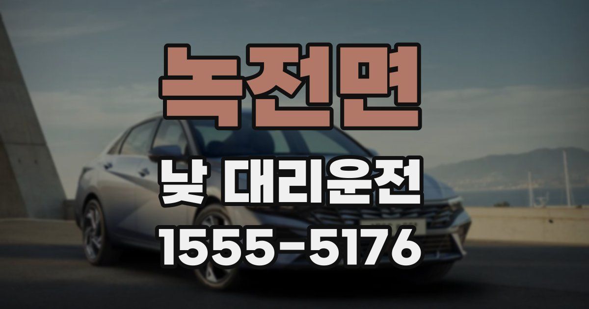 녹전면 낮 대리운전