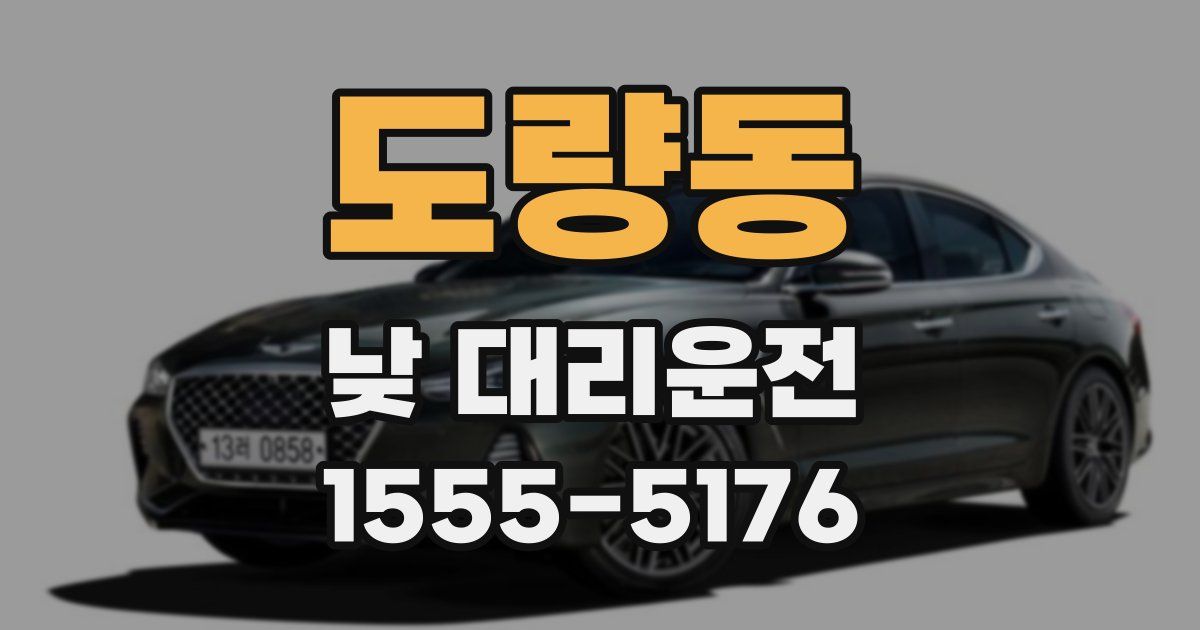 도량동 낮 대리운전