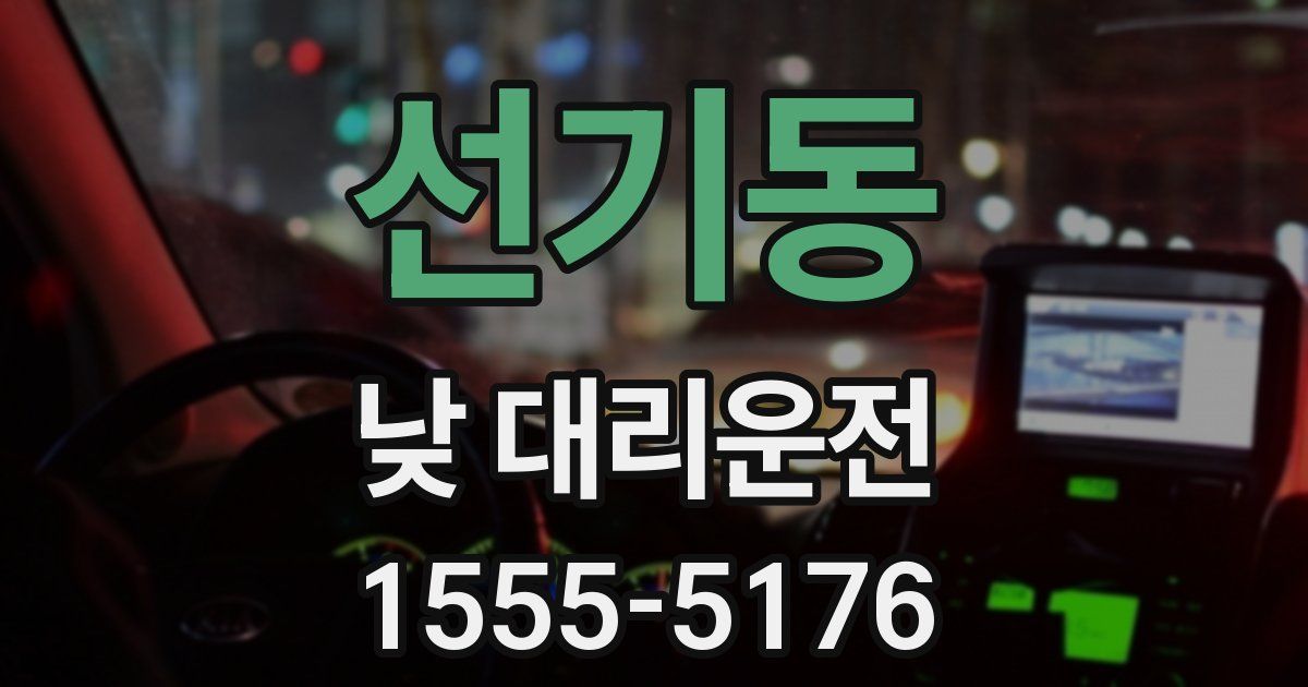 선기동 낮 대리운전