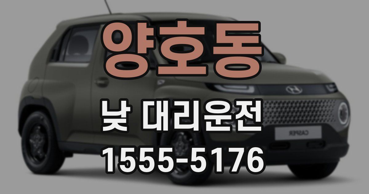 양호동 낮 대리운전