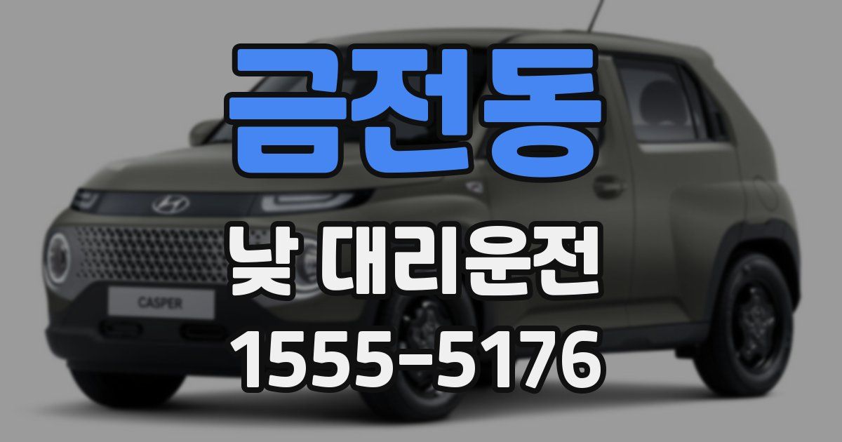 금전동 낮 대리운전