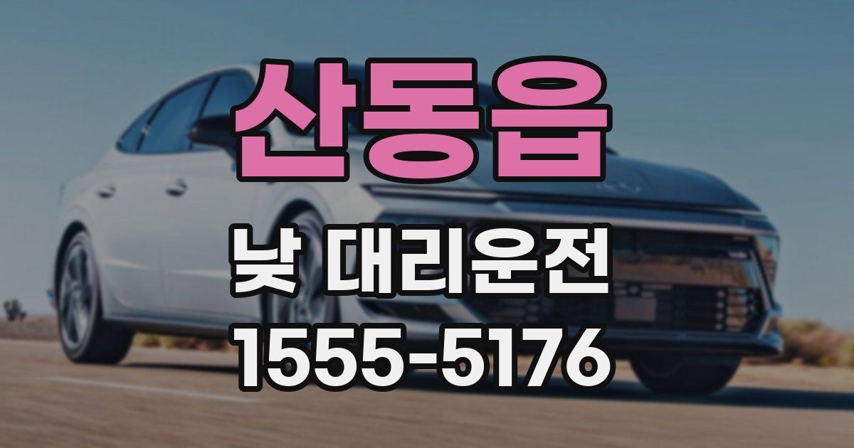 산동읍 낮 대리운전
