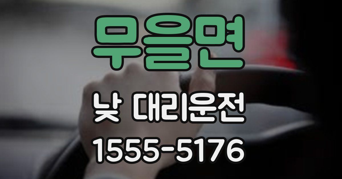 무을면 낮 대리운전
