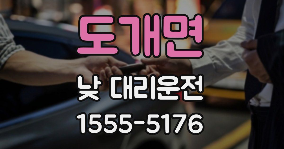 도개면 낮 대리운전