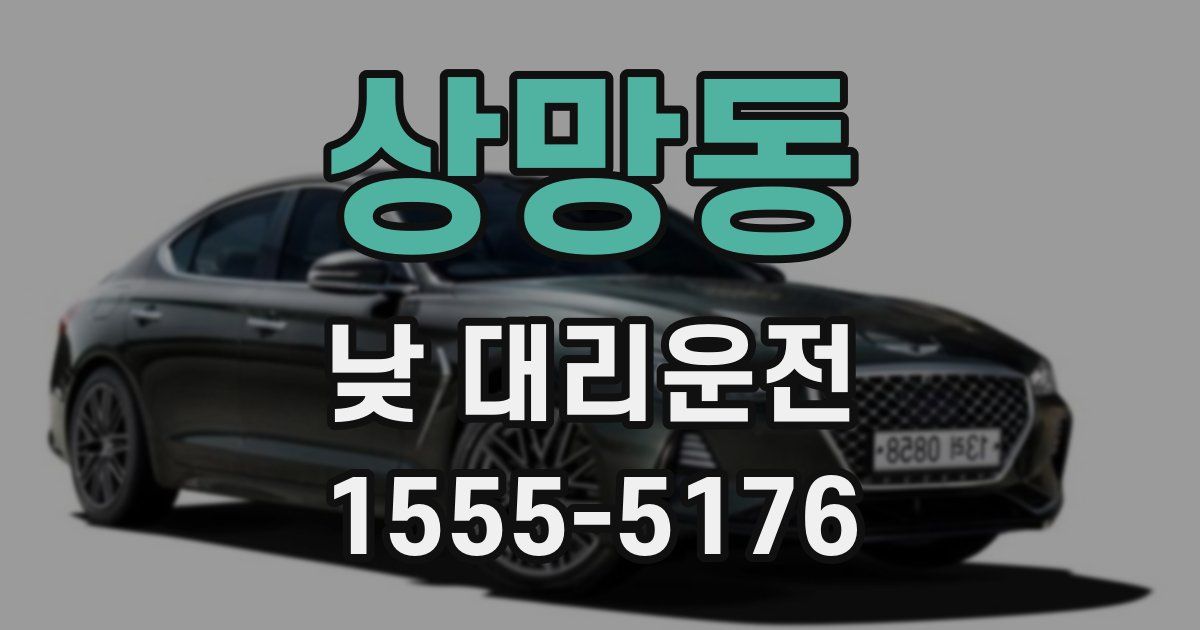 상망동 낮 대리운전