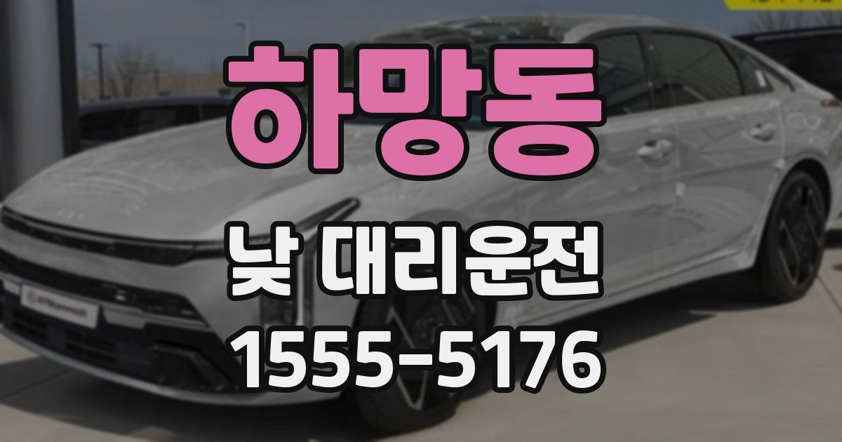 하망동 낮 대리운전