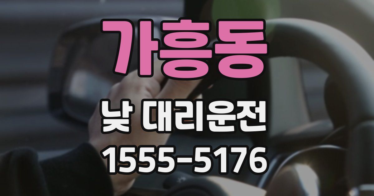 가흥동 낮 대리운전