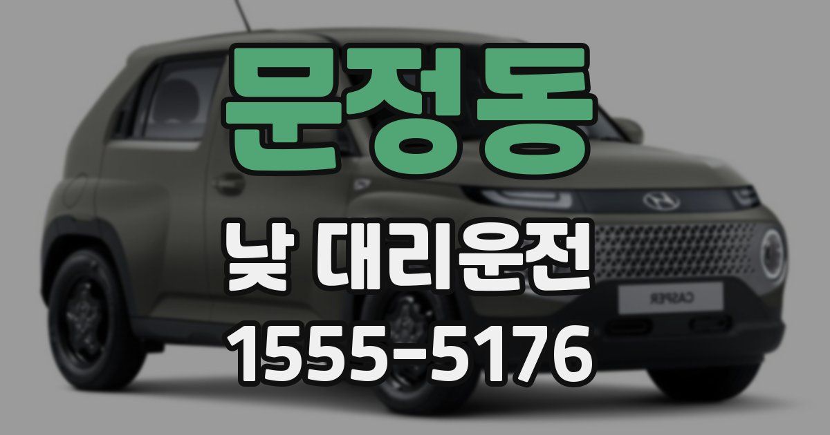 문정동 낮 대리운전