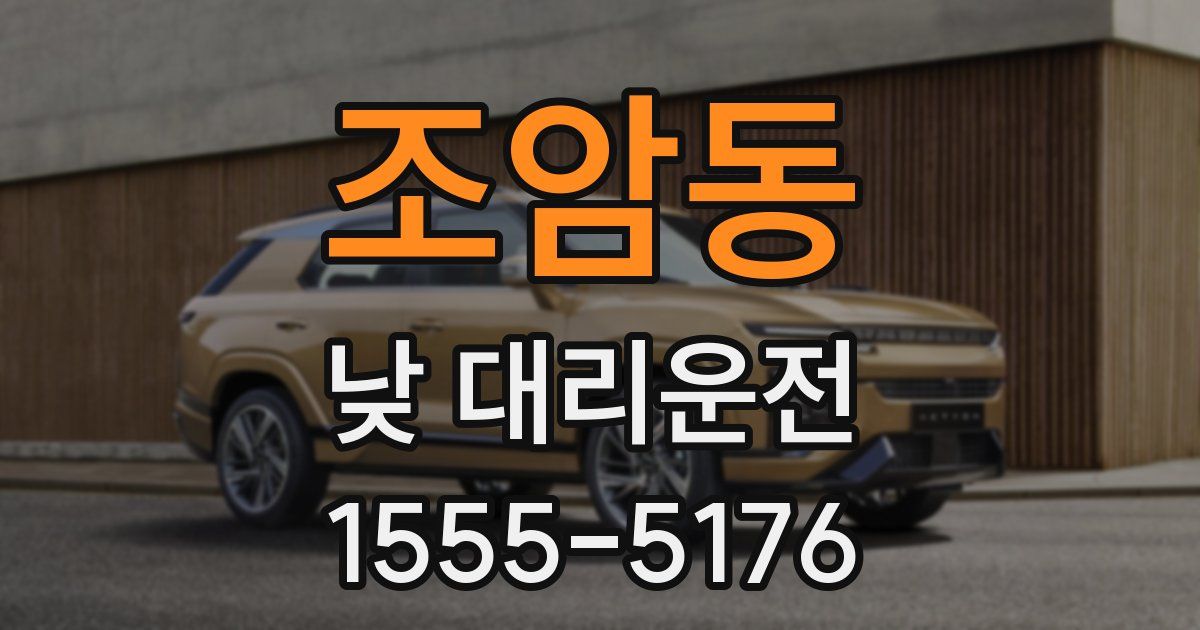 조암동 낮 대리운전