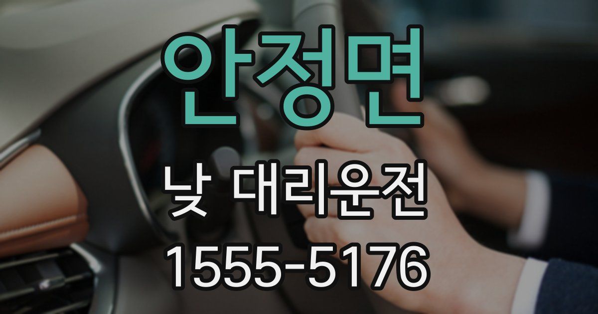 안정면 낮 대리운전