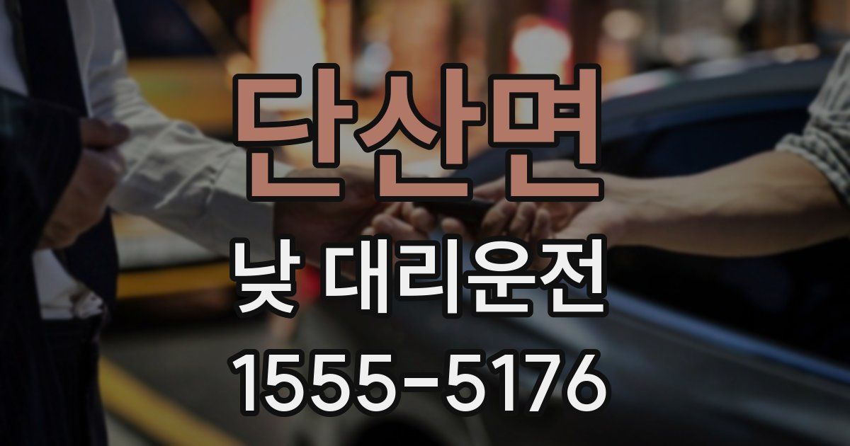 단산면 낮 대리운전