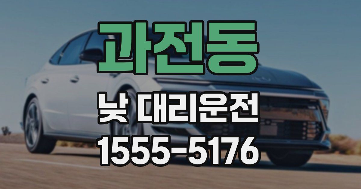 과전동 낮 대리운전