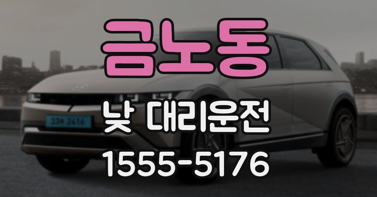 금노동 낮 대리운전