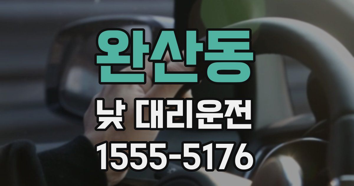 완산동 낮 대리운전