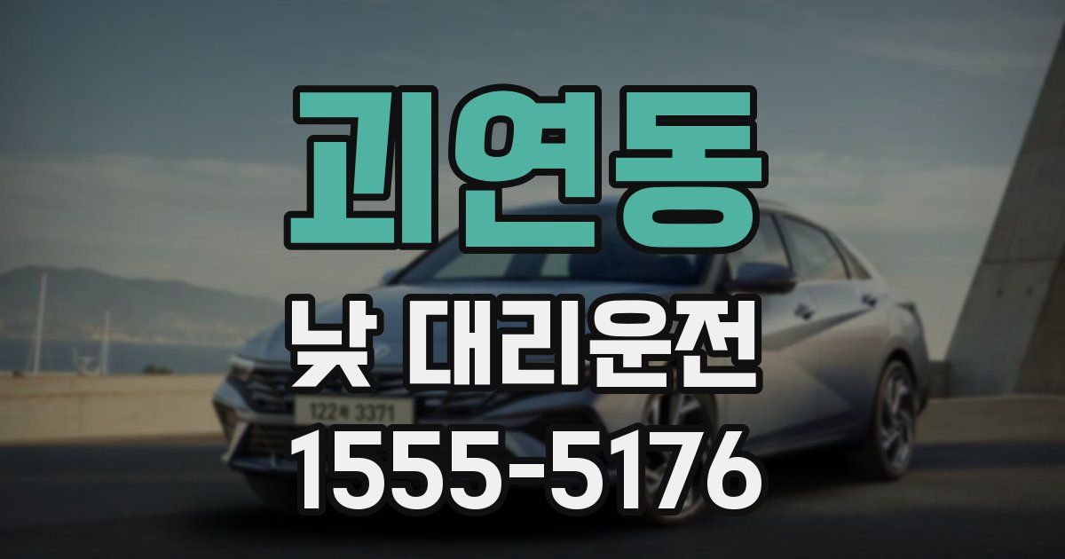 괴연동 낮 대리운전