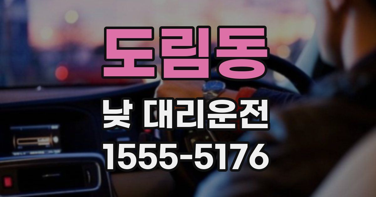도림동 낮 대리운전