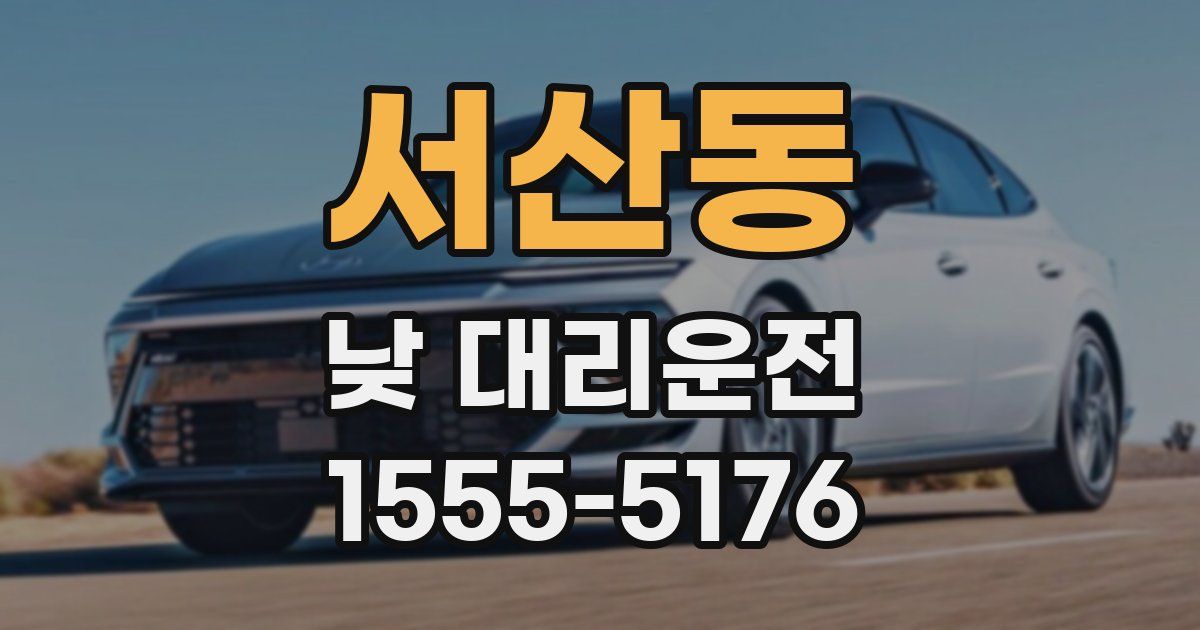 서산동 낮 대리운전