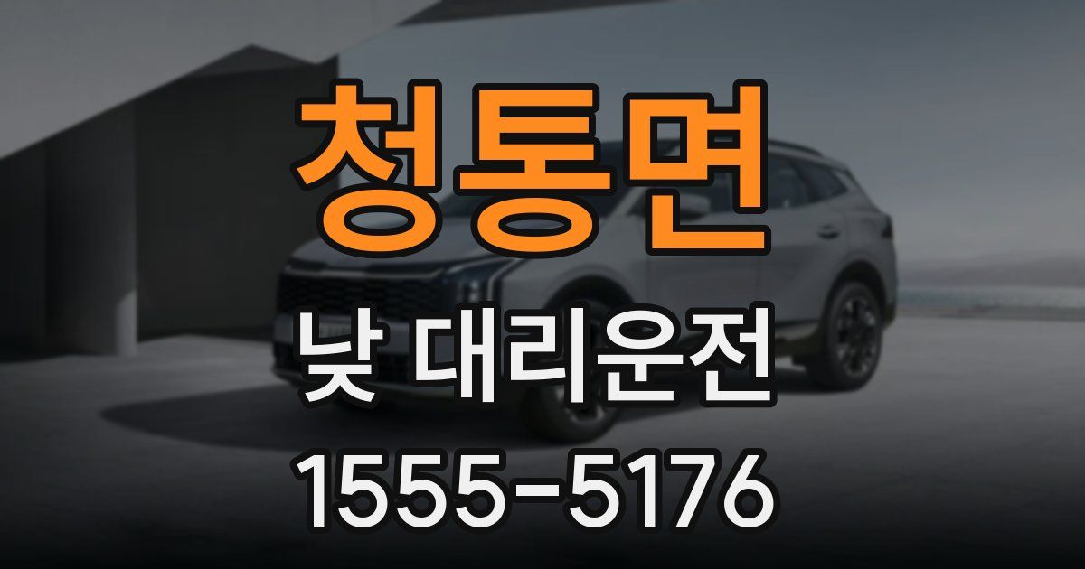 청통면 낮 대리운전