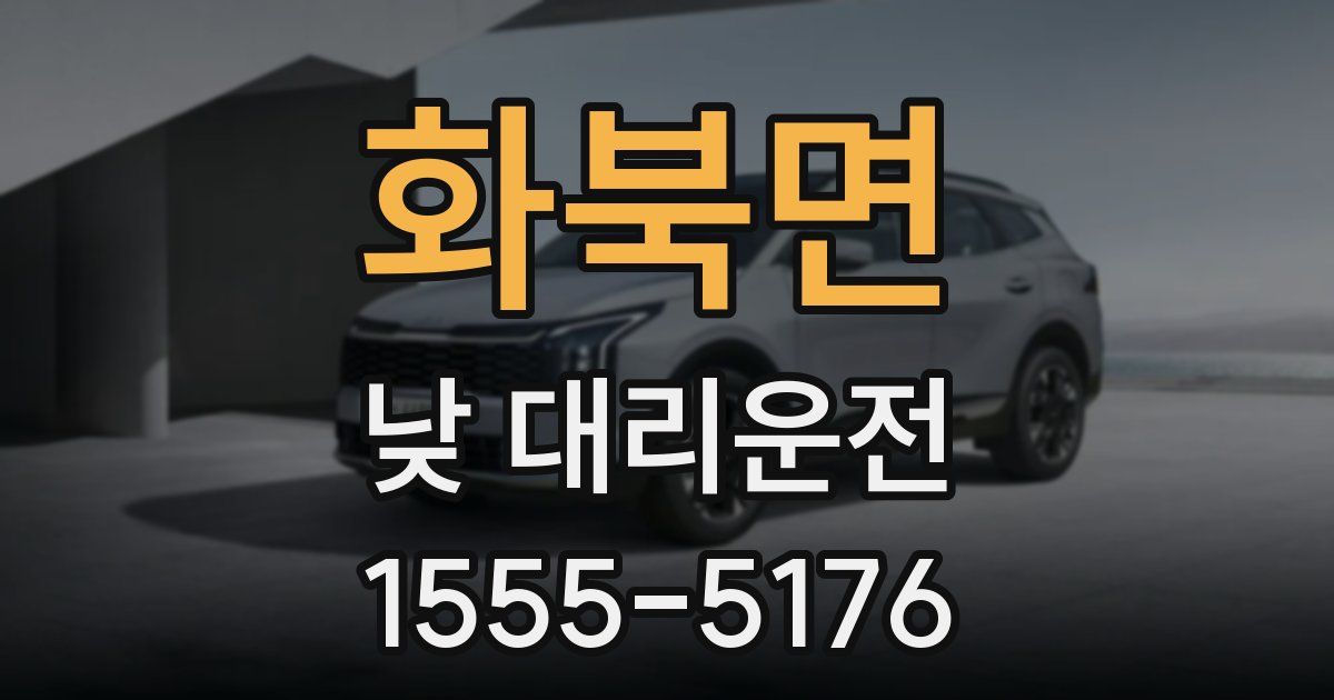 화북면 낮 대리운전