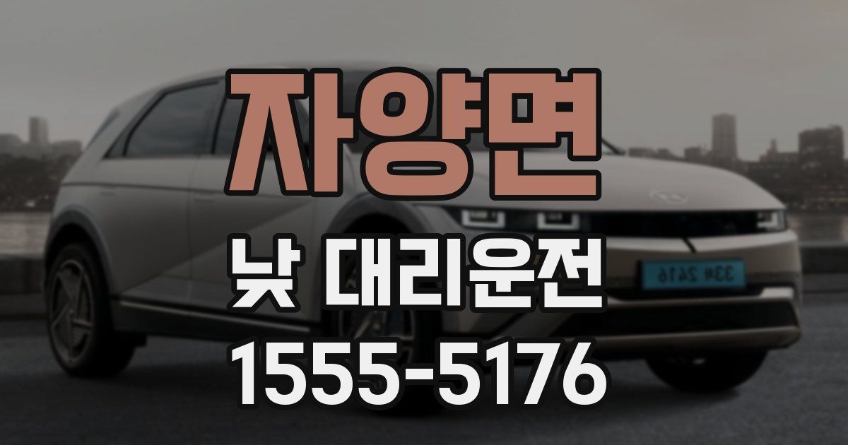 자양면 낮 대리운전