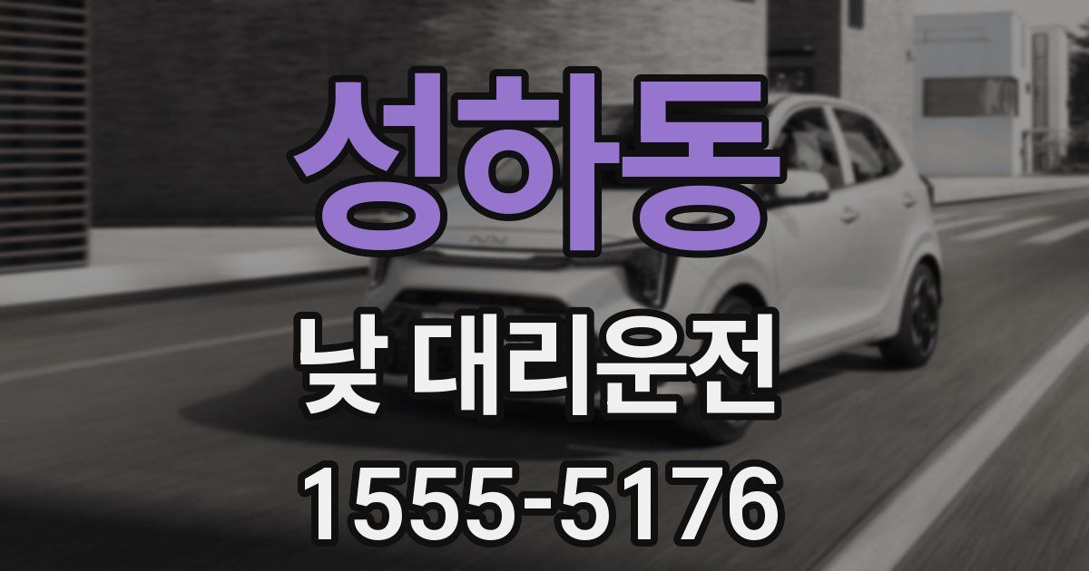 성하동 낮 대리운전