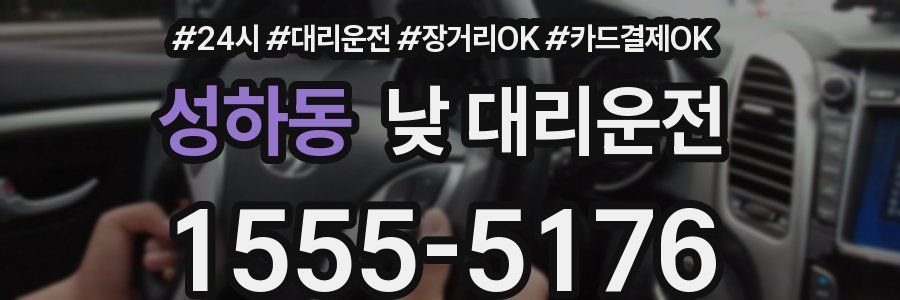 성하동 낮 대리운전