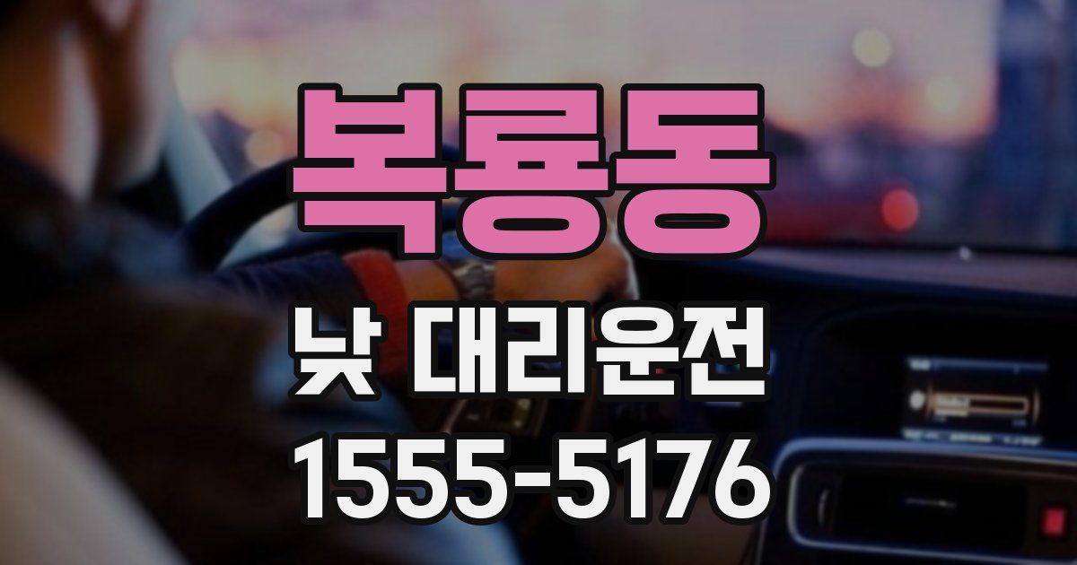 복룡동 낮 대리운전
