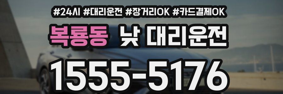 복룡동 낮 대리운전