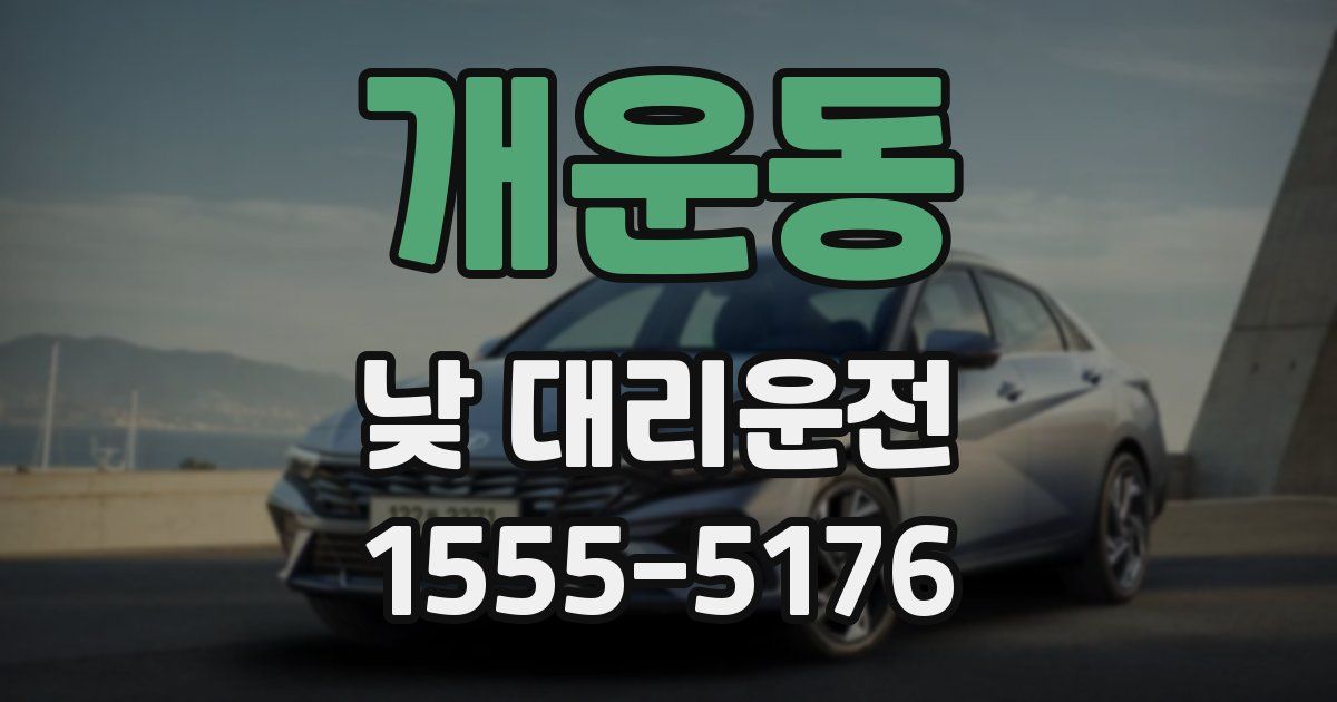 개운동 낮 대리운전