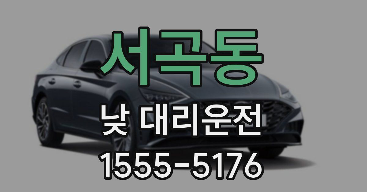 서곡동 낮 대리운전