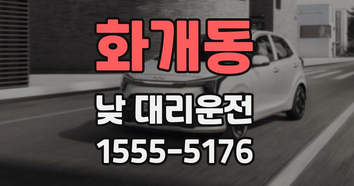 화개동 낮 대리운전