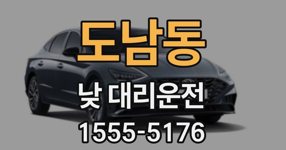 도남동 낮 대리운전