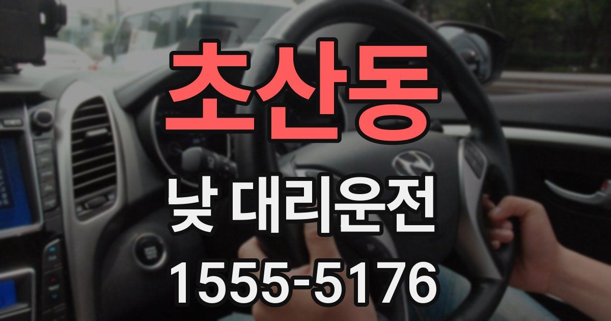 초산동 낮 대리운전