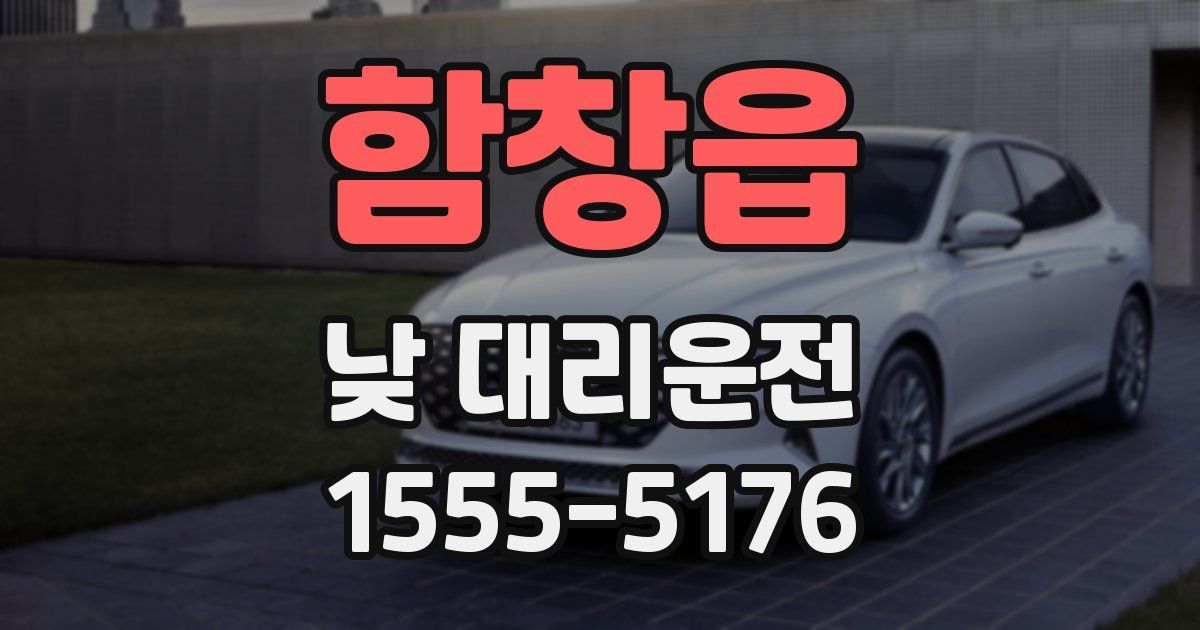 함창읍 낮 대리운전