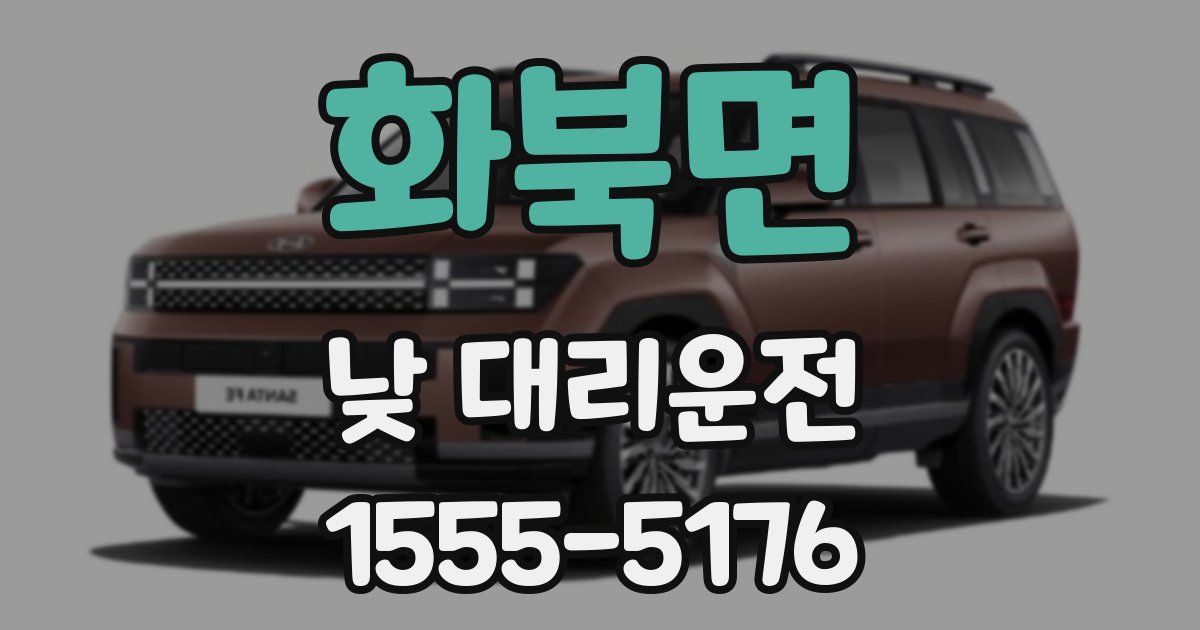 화북면 낮 대리운전