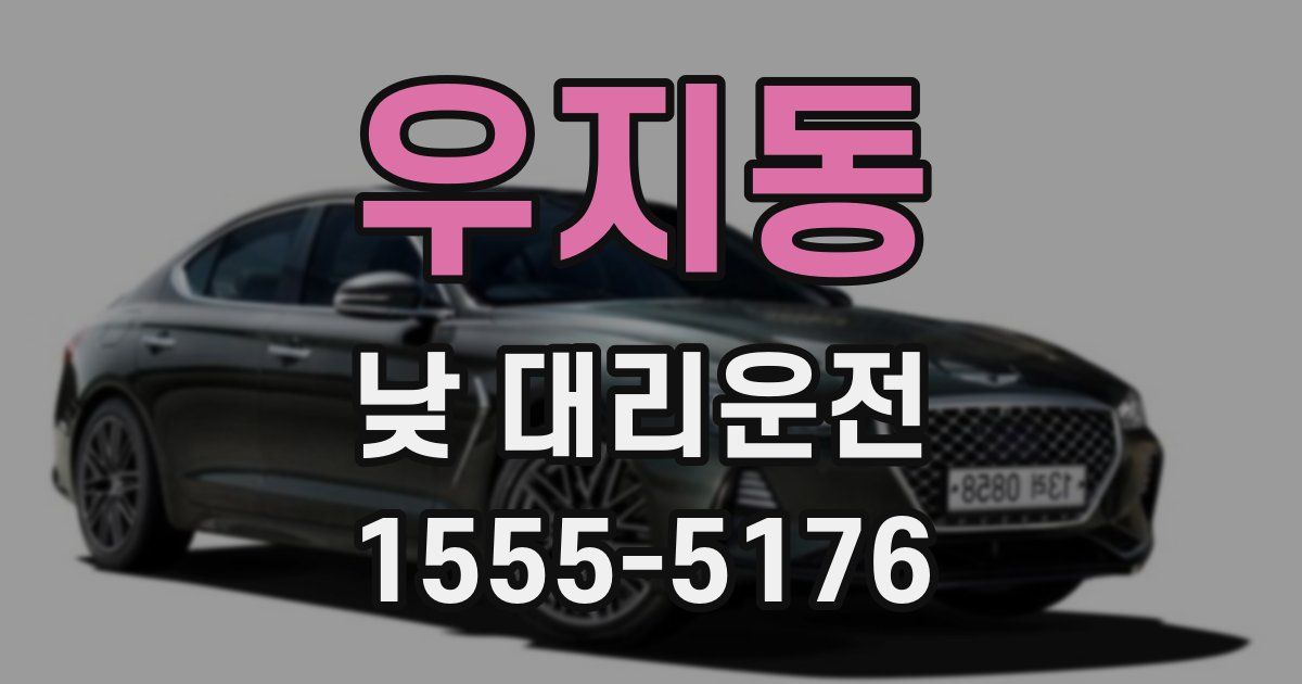 우지동 낮 대리운전