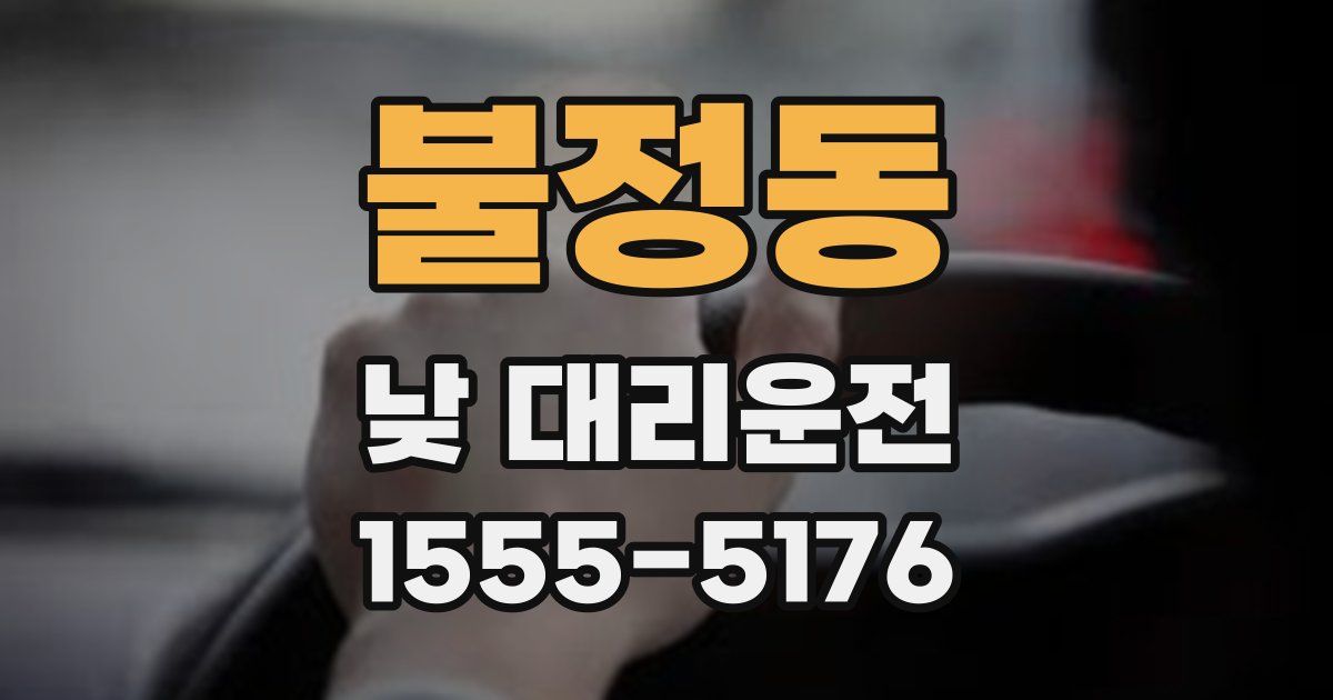 불정동 낮 대리운전