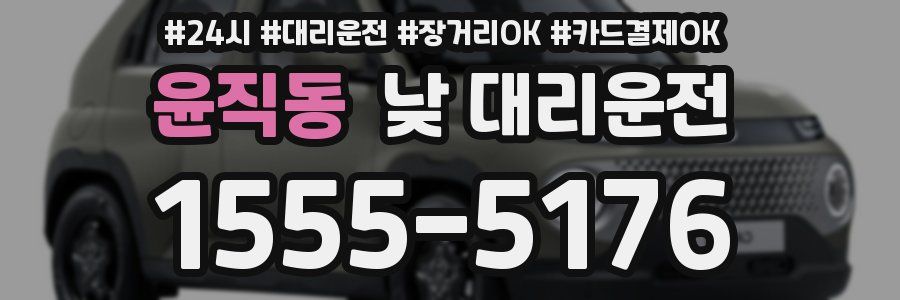 윤직동 낮 대리운전