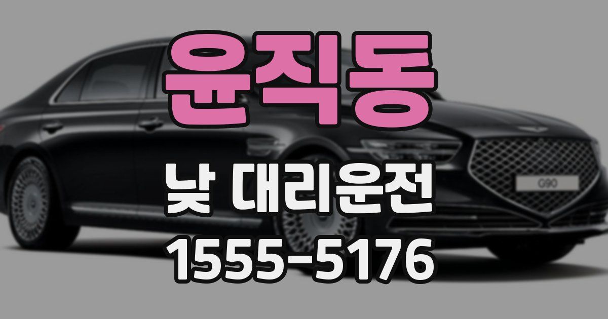 윤직동 낮 대리운전