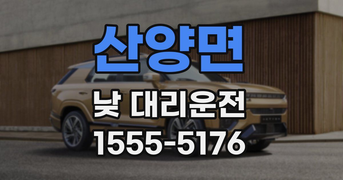 산양면 낮 대리운전