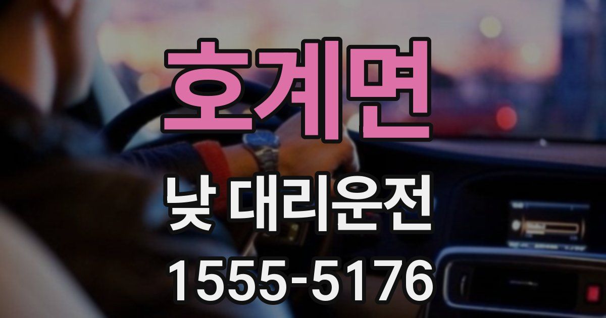 호계면 낮 대리운전