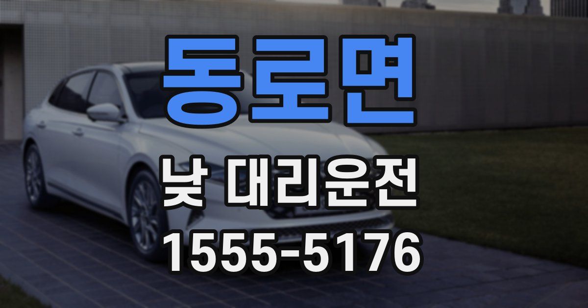 동로면 낮 대리운전